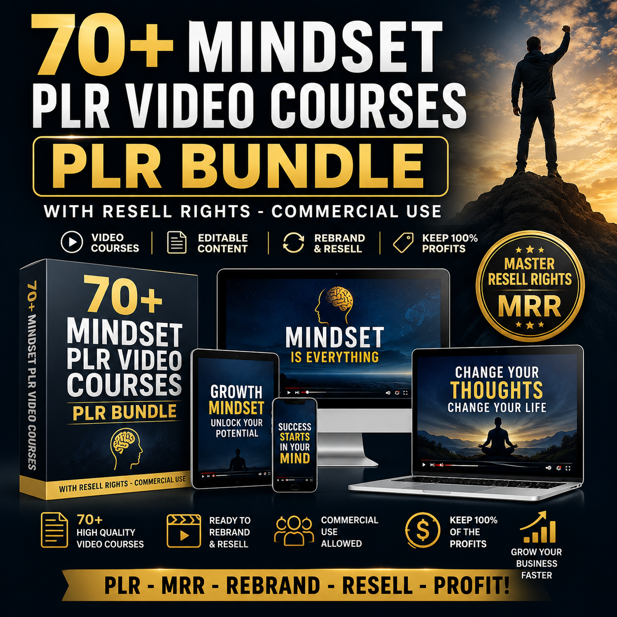 70+ Mindset Plr Video Courses plr Bundle With Resell Rights - Image 2